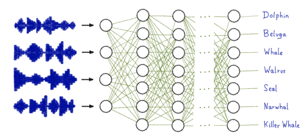 AI Notebooks: analyze and classify sounds with AI