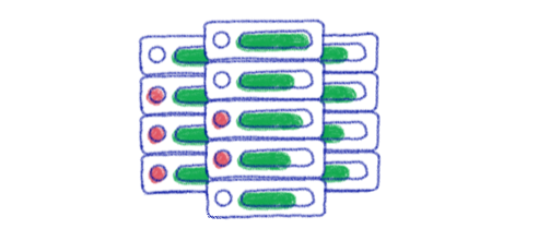 Dedicated servers