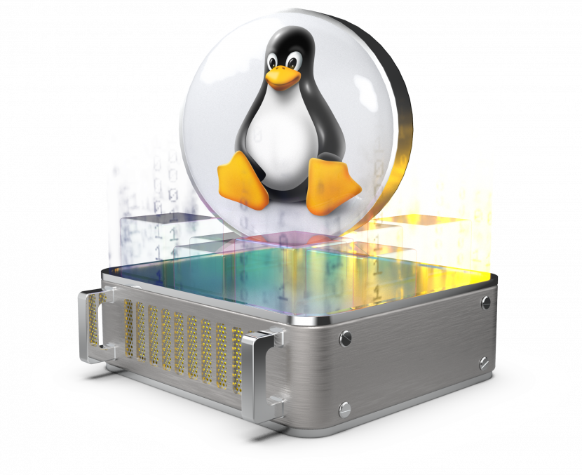 Servers: Revision of Linux Distribution Reinstallation