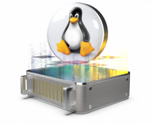 Servers: Linux distribution reinstallation review
